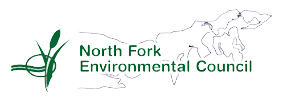https://greeninsideandout.org/wp-content/uploads/2023/05/NFEC-logo.png